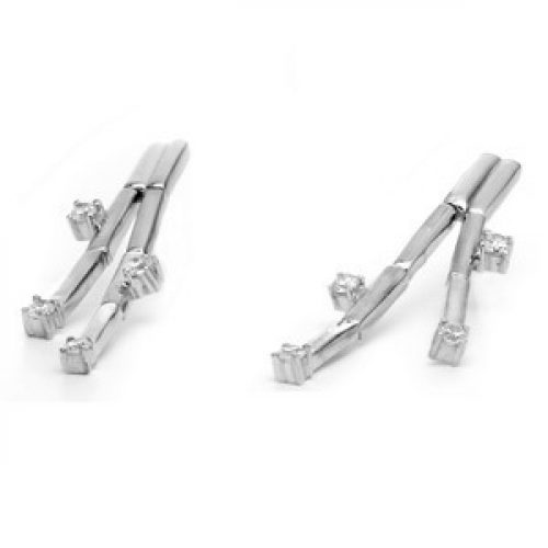 Pendientes Buraza Plata y Cz Brillante